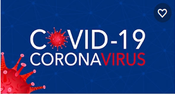 Portal Covid-19